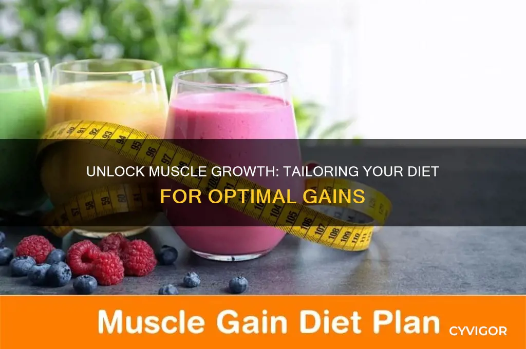how to figure out your dietary needs for muscle gain
