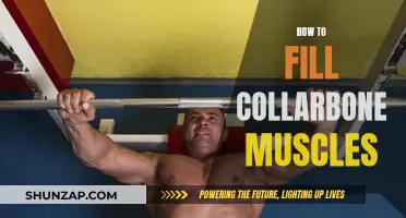 Building a Muscular Collarbone: Strategies for Success