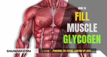 Strategies to Maximize Muscle Glycogen Storage and Utilization
