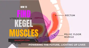 Finding Your Kegel Muscles: A Guide to Locating Them