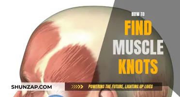 Finding Muscle Knots: A Guide to Self-Diagnosis and Relief