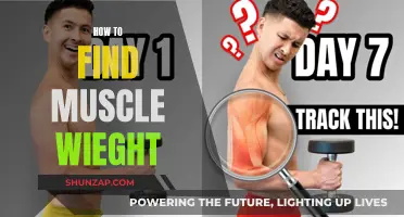 Gaining Muscle Weight: Strategies for Building Strength