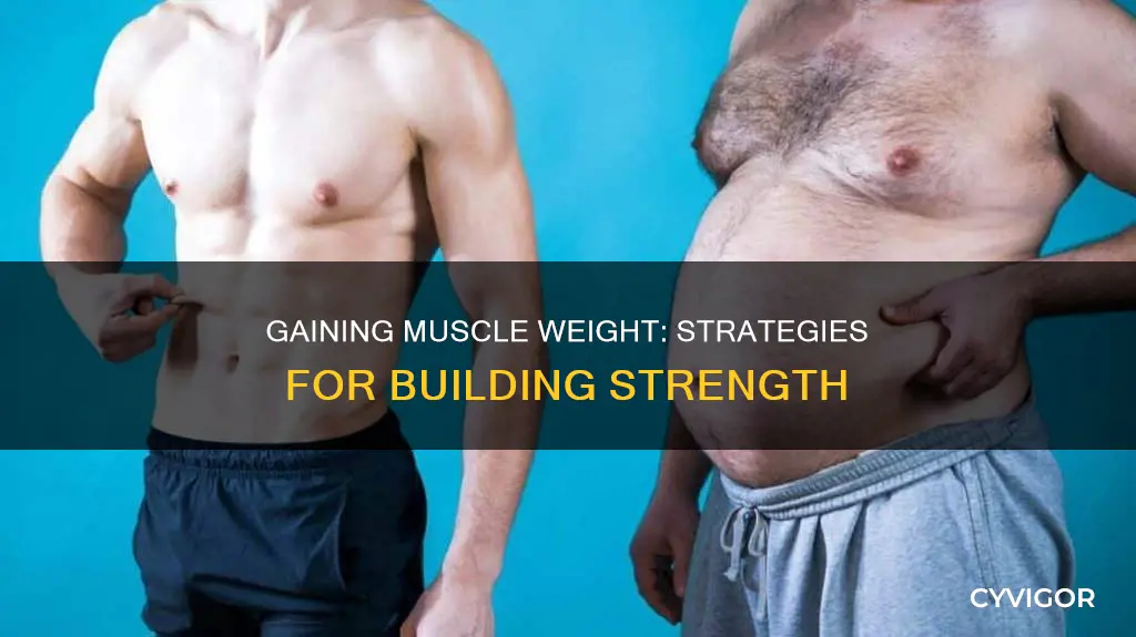 how to find muscle wieght