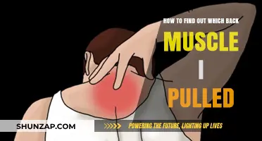 Identify Your Pulled Back Muscle: A Step-by-Step Guide to Diagnosis