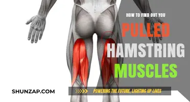 Identifying Pulled Hamstring Symptoms: A Guide to Recognizing Muscle Injuries