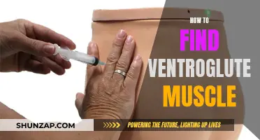 Locating the Ventrogluteal Muscle: A Step-by-Step Guide