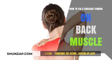 Effective Ways to Heal a Crossed Tendon in Your Back Muscles