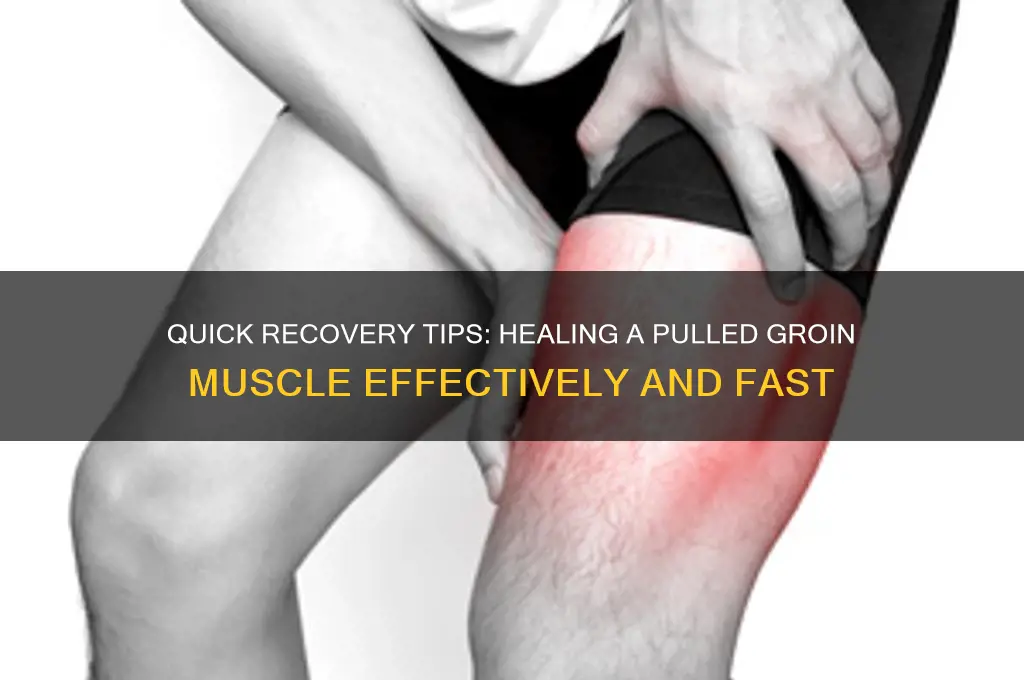 how to fix a pulled groin muscle fast
