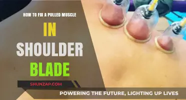 Effective Remedies to Heal a Pulled Muscle Near Your Shoulder Blade