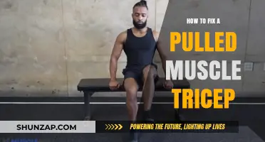Effective Tricep Pulled Muscle Recovery: Tips and Remedies for Healing