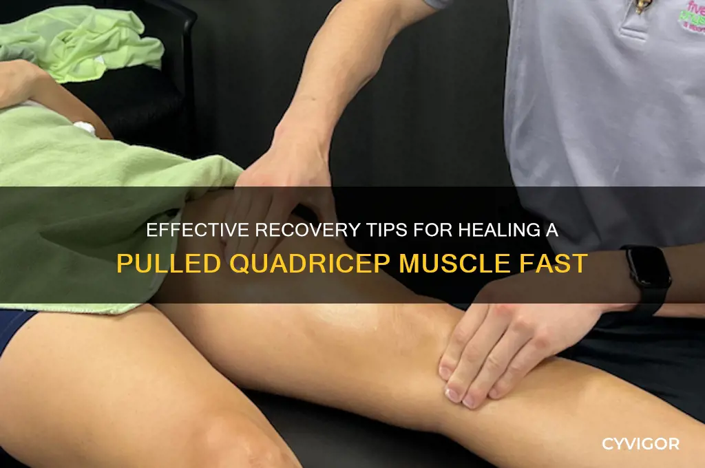 how to fix a pulled quadricep muscle