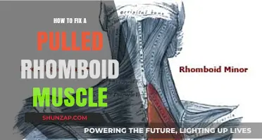 Effective Ways to Heal and Recover from a Pulled Rhomboid Muscle