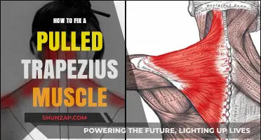Effective Remedies for Healing a Pulled Trapezius Muscle Quickly