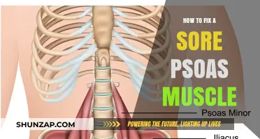 Effective Techniques to Relieve and Heal a Sore Psoas Muscle