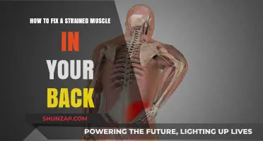 Effective Ways to Heal a Strained Back Muscle