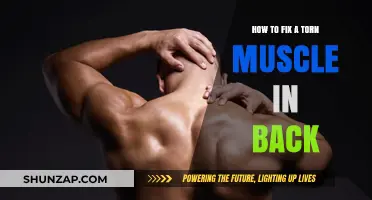 Effective Ways to Heal a Torn Muscle in Your Back