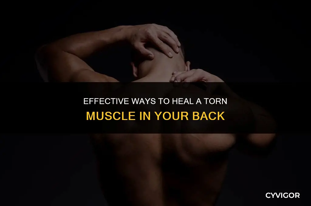 how to fix a torn muscle in back