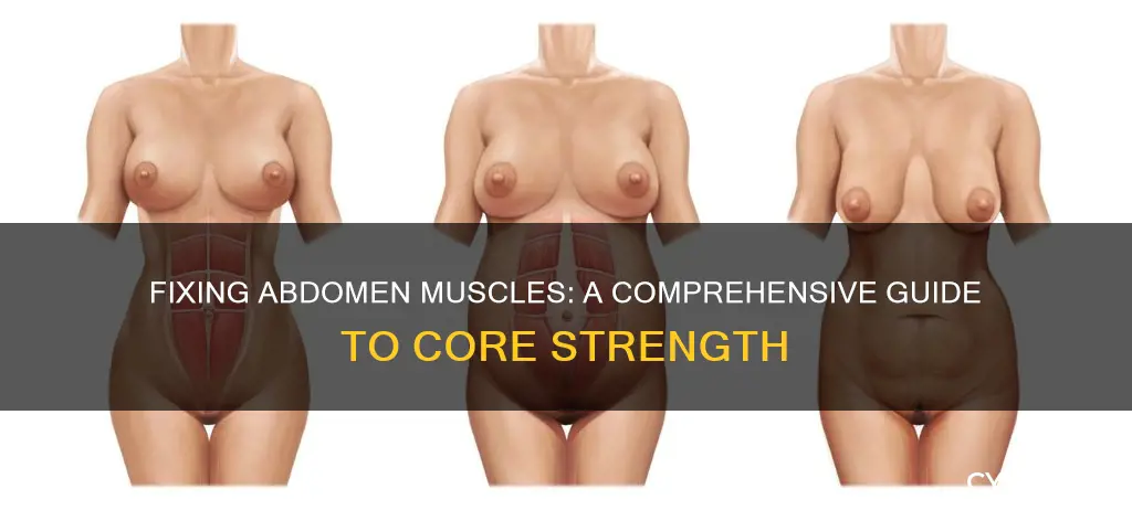 how to fix abdomen muscles