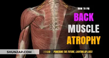 Revitalize Your Back: A Comprehensive Guide to Combating Muscle Atrophy