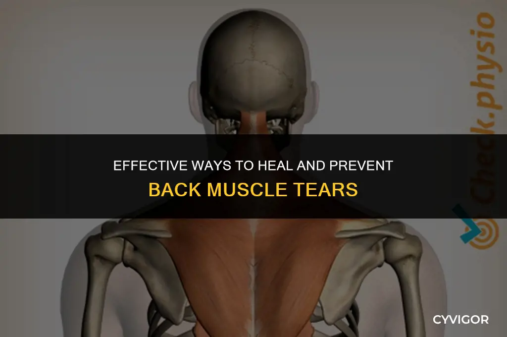 how to fix back muscle tears