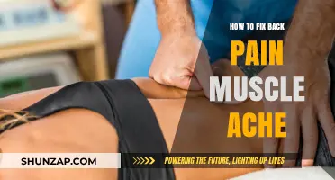 Effective Remedies to Relieve Back Pain and Muscle Aches Fast