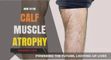 Revitalize Your Calves: A Comprehensive Guide to Combating Muscle Atrophy