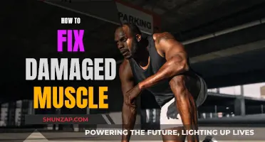 Repairing Damaged Muscles: A Guide to Healing and Recovery