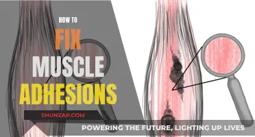 Fixing Muscle Adhesions: Techniques for Releasing Soft Tissue