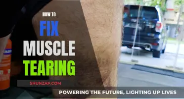 Fixing Muscle Tears: Recovery and Prevention Techniques
