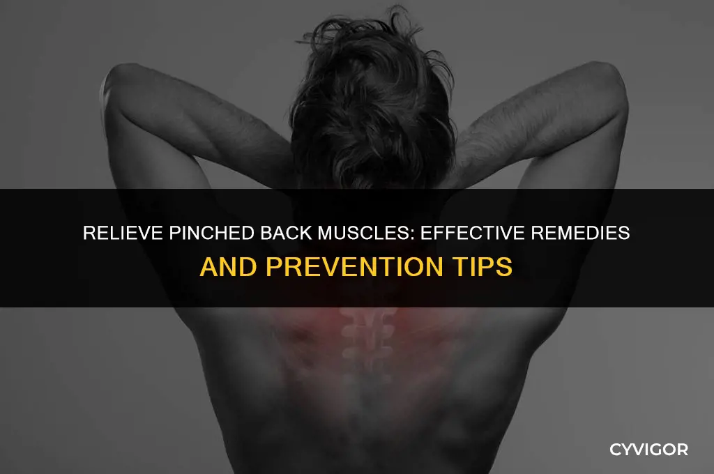 how to fix pinched back muscles