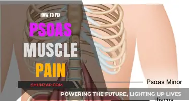 Effective Strategies to Relieve and Heal Psoas Muscle Pain