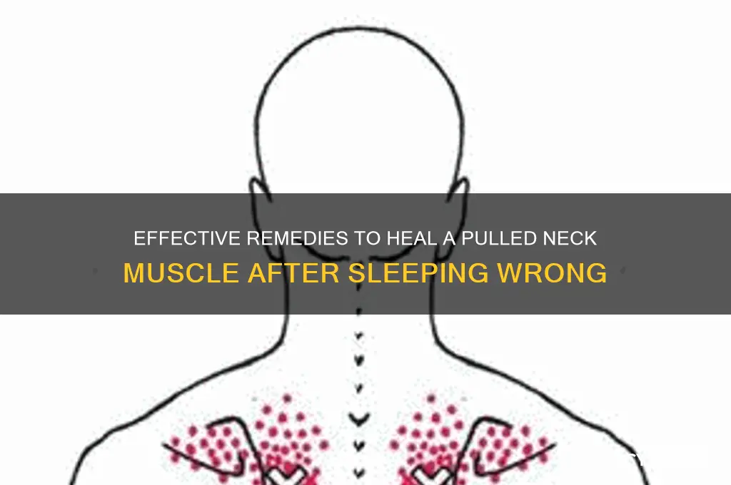 how to fix pulled muscle in next from sleeping
