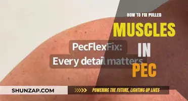 Effective Recovery Tips for Pulled Pec Muscles: Heal Faster and Stronger