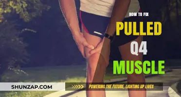Effective Remedies to Heal and Recover from a Pulled Quadriceps Muscle