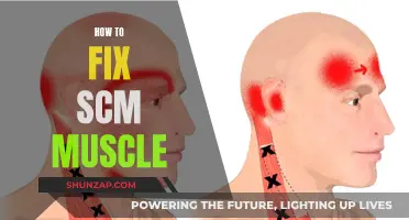Fixing Your SCM Muscle: Simple and Effective Techniques