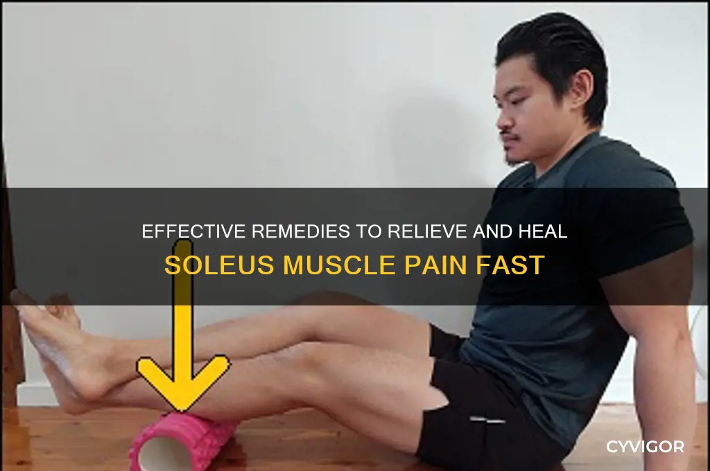 how to fix soleus muscle pain