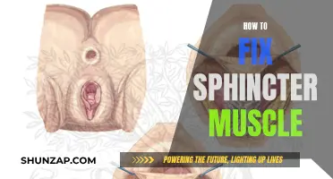 Repairing Your Sphincter: A Guide to Healing and Strengthening