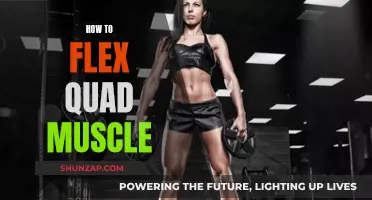 Flexing Your Quads: A Guide to Powerful Leg Muscles