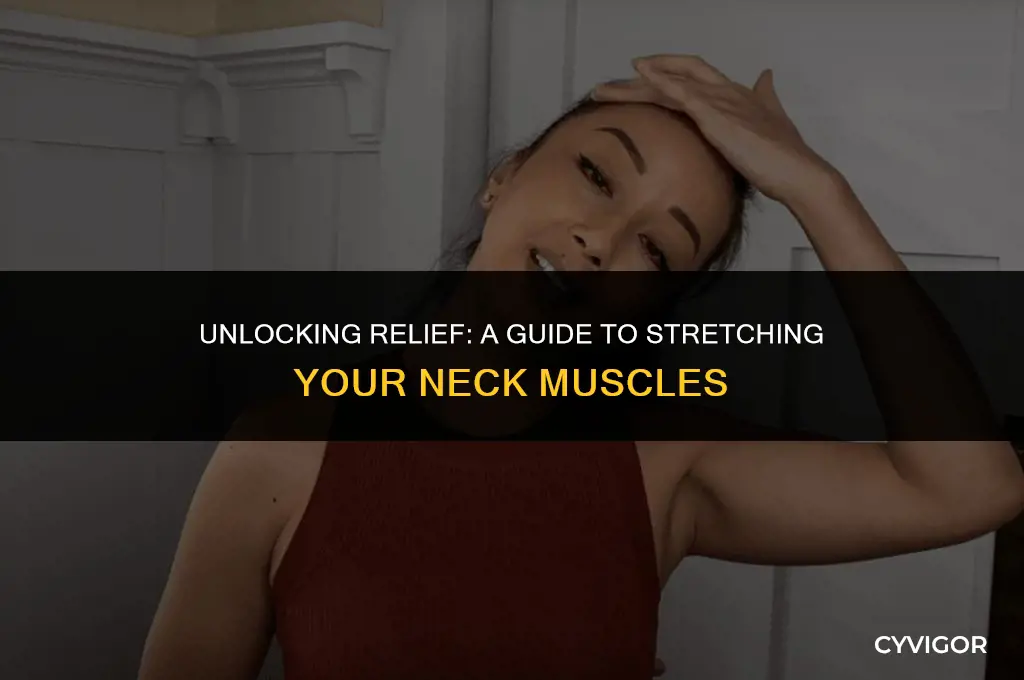 how to flex the back of the neck muscles