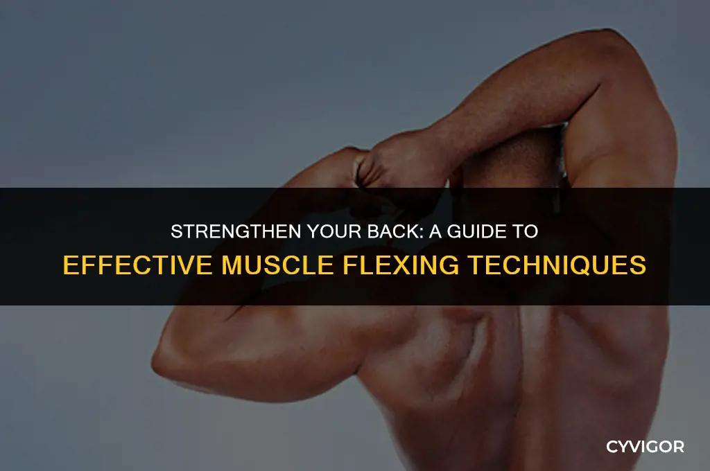 how to flex your back muscles
