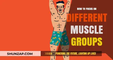 Mastering Muscle Group Focus: Effective Strategies for Targeted Workouts