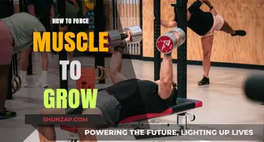 Unlock Explosive Muscle Growth: Proven Strategies to Force Hypertrophy