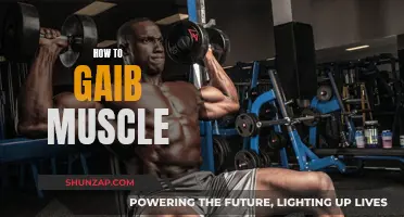 Building Muscle: Strategies for Effective Muscle Gain