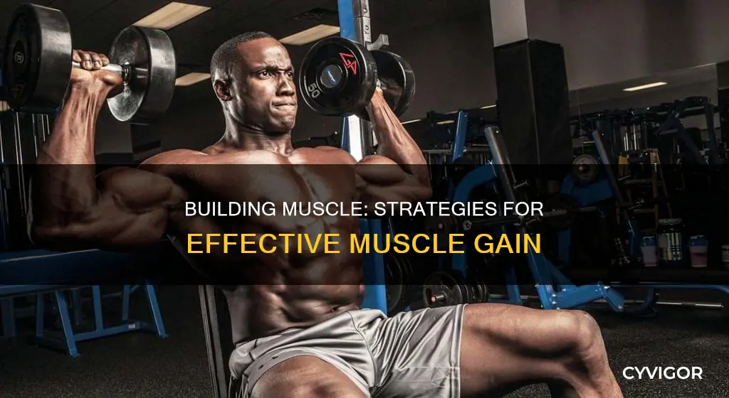 how to gaib muscle