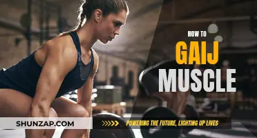 Building Muscle: Effective Strategies for Strength and Growth