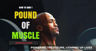 Effective Strategies to Build 1 Pound of Lean Muscle Mass