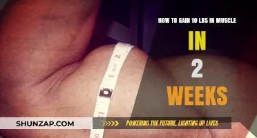 Rapid Muscle Gain: Strategies to Pack on 10 Pounds in 2 Weeks