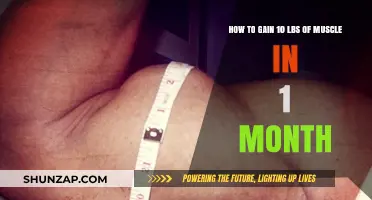 Rapid Muscle Gain: Strategies to Add 10 Pounds in 30 Days