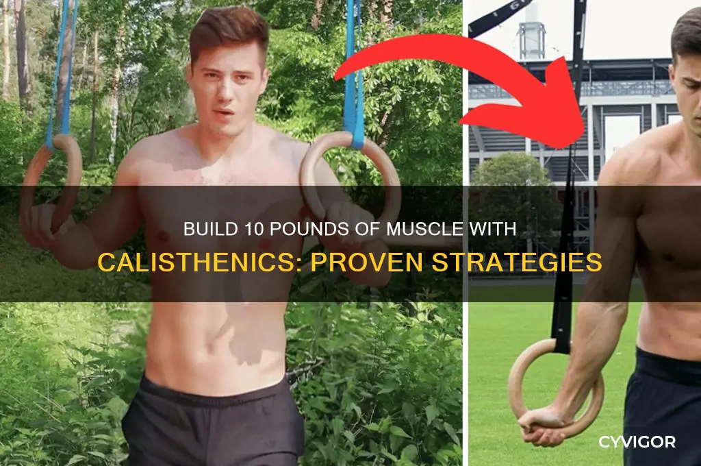 how to gain 10 pounds of muscle in calisthenics