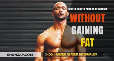 Build Lean Muscle Mass: Strategies to Gain 10 Pounds Without Fat